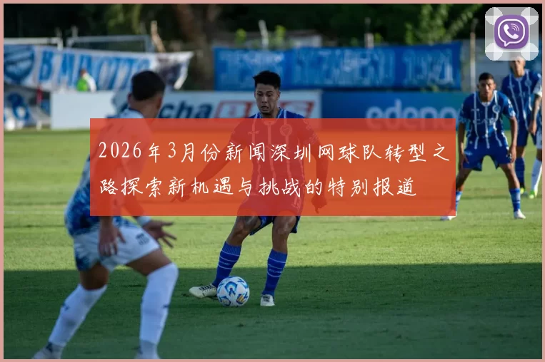 2026年3月份新闻深圳网球队转型之路探索新机遇与挑战的特别报道