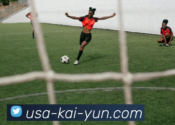 开云平台生态图